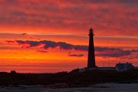 Tore Hunds Apartments - B&B Andenes