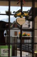 B&B Villa Dalegno - Chambres d’hôtes Temù