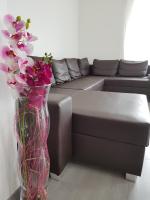 B&B Rheine - Apartment by Janzen - Bed and Breakfast Rheine