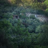 Farmhouse B&B Castagnola 64 - B&B