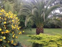 Les Charmilles - Bed and Breakfast