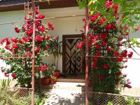 Casa Ghemus Costinesti - B&B Costineşti