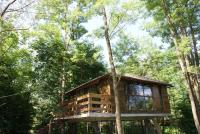 Porumbacu Treehouse - B&B