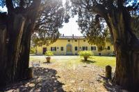 B&B Siena - Villa San Dalmazio splendida appena 5km dal centro - Bed and Breakfast Siena