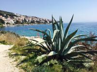 Apartmani Zivaljic - Bed and Breakfast Trogir