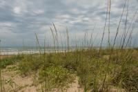 South Padre Island Beach Rentals - Bed and Breakfast South Padre Island