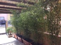 Casa Tacconi - B&B