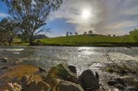 Elm Cottage Tumut - Bed and Breakfast Tumut