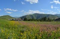 Azoyan Holiday Resort - Bed and Breakfast Sisian