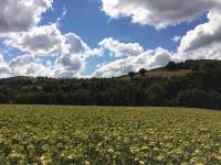 Palazzetto Bentivoglio - B&B Sassoferrato