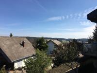 schwarzwald-apartment - B&B Schönwald