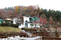 Pinearoma Pension - B&B Hongcheon