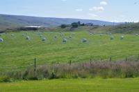 Camera Matrimoniale con Bagno in Comune 