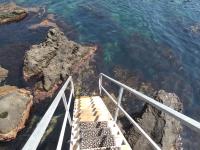 Sicily for you Apartment - B&B Acireale