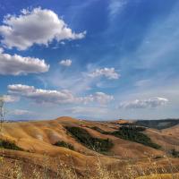 Certine Agriturismo - B&B Asciano