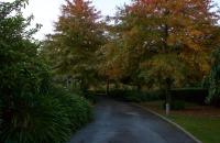 Ryland Estate Guest Apartment - B&B Kaituna