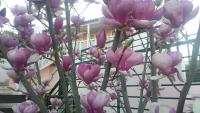 Casa Castedo do Douro - B&B