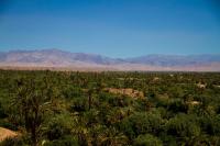 Skoura Lodge - B&B Skoura