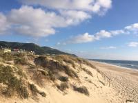 Lovely and Cozy Quiaios 1 Bed Apartment - Chambres d’hôtes Palheiros de Quiaios