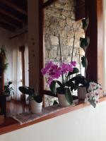 B&B Casa Lisa - B&B Miane