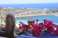 Dammuso Il Fenicottero Rosa - B&B Pantelleria