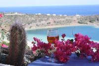 B&B Pantelleria - Dammuso Il Fenicottero Rosa - Bed and Breakfast Pantelleria