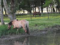 Les Portes des Froises - Chambres d’hôtes Saint-Quentin-en-Tourmont