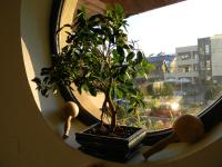 Camera Matrimoniale Deluxe