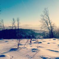 Apartment mit Terrasse