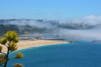 Cavalo-Marinho Nazare - B&B Nazaré