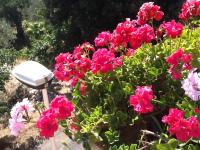 Appartamento con Balcone