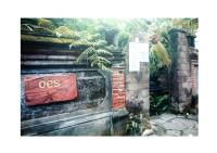Oes House - B&B Ubud
