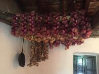 Old house Nilovic - B&B Livari