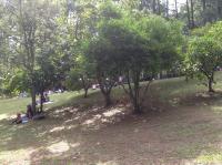 OM B&B + Spa - B&B Viamão