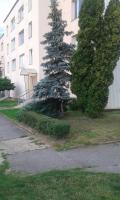 Apartman Ortenova 74 - Chambres d'hôtes Kutná Hora