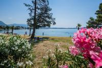 Pelivan Apartments - B&B