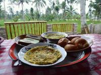 Tereng Wilis bungalows - B&B Tetebatu