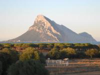 B&B La Taerra - B&B Porto San Paolo