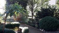 Appartement - Begane Grond