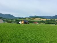 Element - B&B Naka-furano