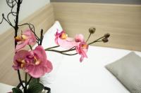 Chambre Simple