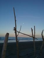 Ohope Lifestyles - B&B Ohope Beach