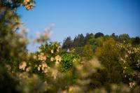 Casa con 3 Camere da Letto