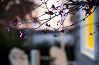 Casa con 1 Camera da Letto