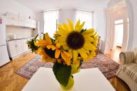 Apartament A&F, Ferienwohnungen - Sibiu