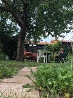 Appartamento con 2 Camere da Letto (5 Adulti)