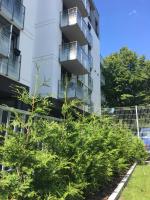 Apartament SOLNY 304 - Ferienwohnung Kolberg