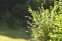 Les Cottages de la Norge - B&B