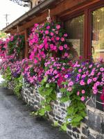 Penzión Holub - Chambres d’hôtes Tajov