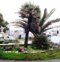 Jasmine House - B&B Newquay